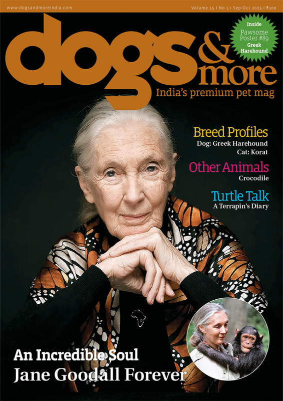 Dogs and more Magazine