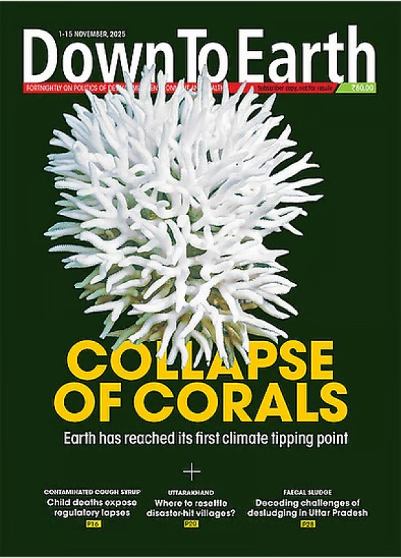 Down To Earth Magazine