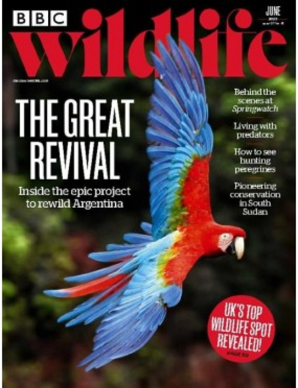 BBC Wildlife Magazine UK Edition