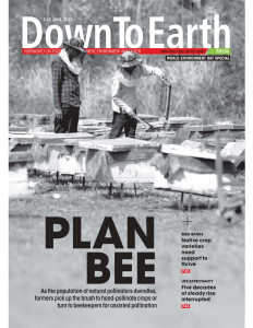 Down To Earth Magazine