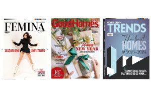 Femina + Good Homes India + Home & Design Trends Magazine Combo